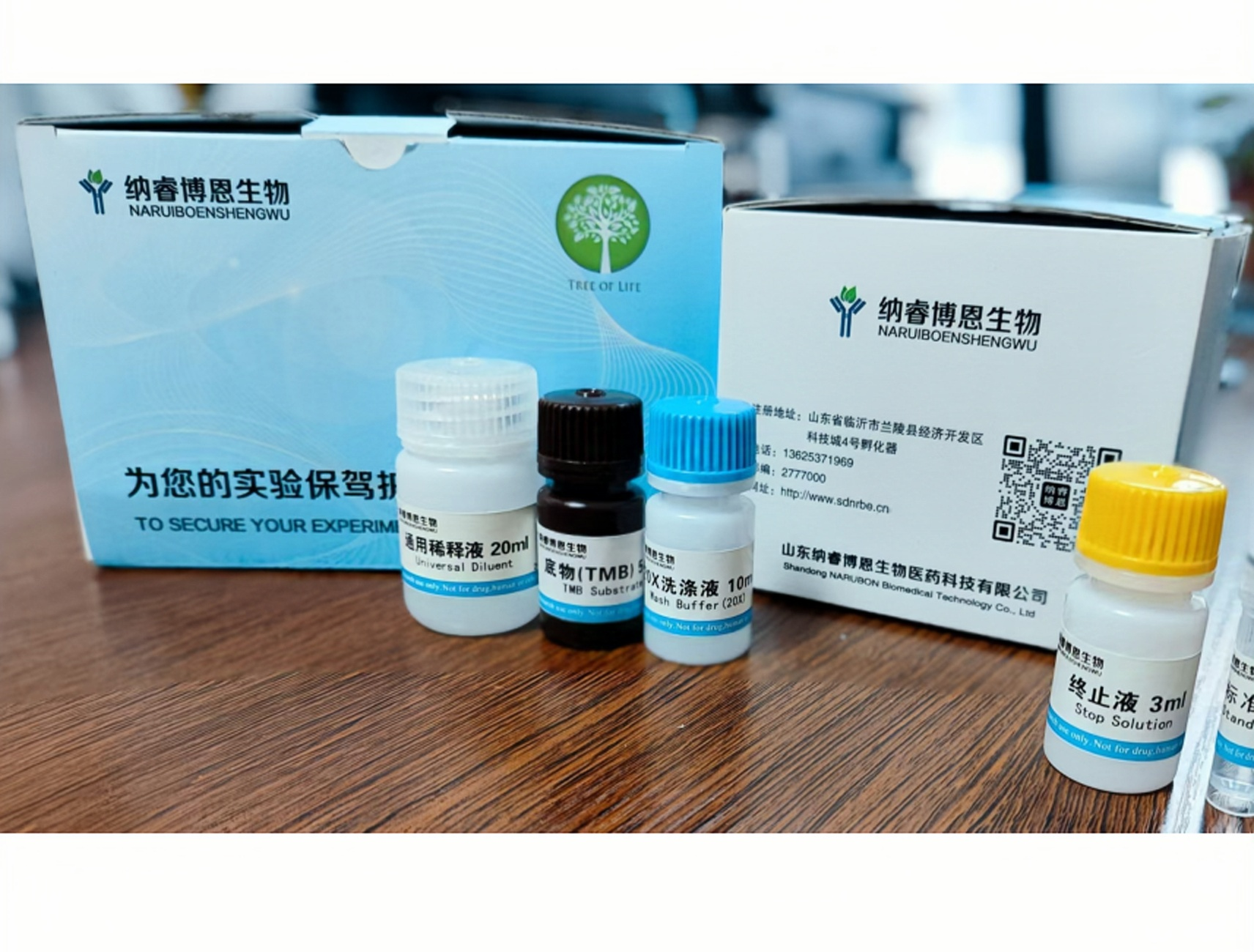 AJUBA -ELISA试剂盒